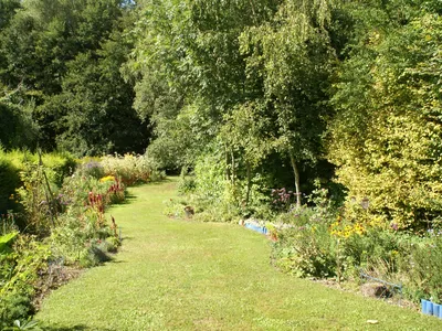 ViewSummer
