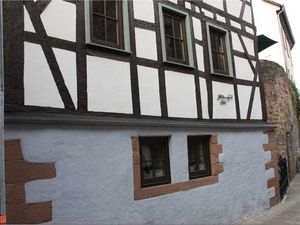 19355013-Ferienhaus-7-Michelstadt-300x225-0