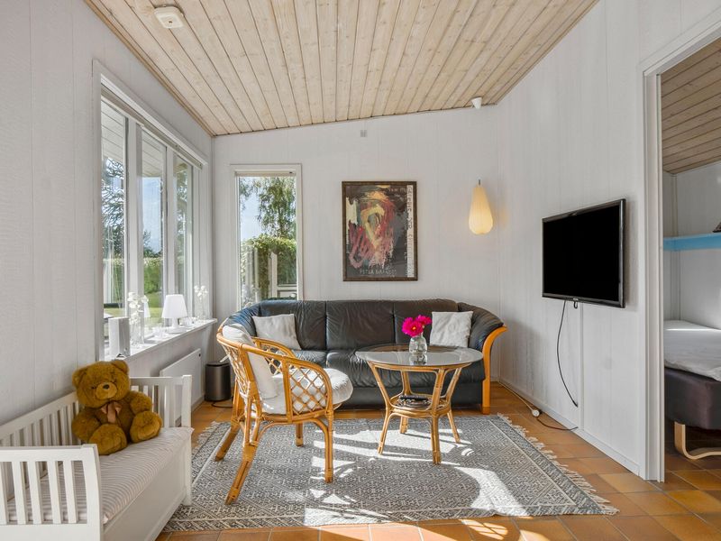 24038261-Ferienhaus-6-Middelfart-800x600-2