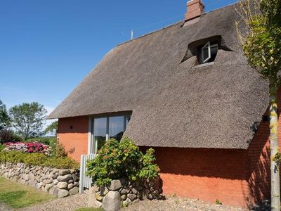 Ferienhaus für 10 Personen (338 m²) in Midlum (Schleswig-Holstein) 4/10