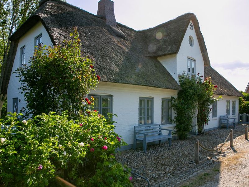 23881823-Ferienhaus-5-Midlum (Schleswig-Holstein)-800x600-1