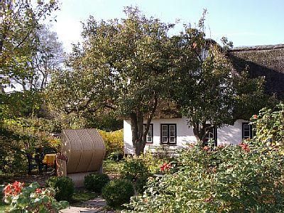 Ferienhaus für 4 Personen (72 m²) in Midlum (Schleswig-Holstein) 8/10