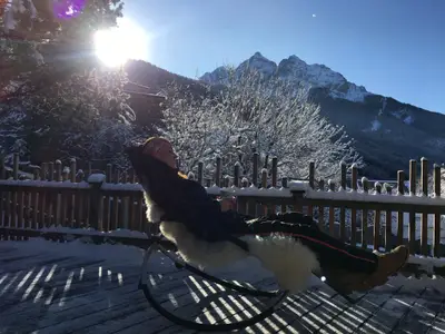 Winter in der Sonne genießen