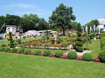 AreaSummer1KM