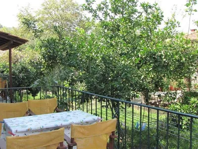 Bild 7