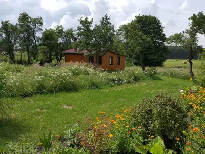 Ferienhaus für 3 Personen (50 m²) in Milmersdorf 4/10