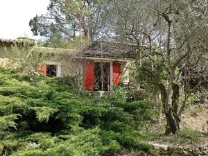 21963243-Ferienhaus-4-Mirabel Aux Baronnies-300x225-1