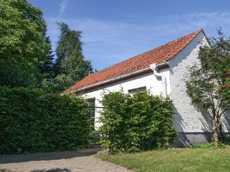 23516265-Ferienhaus-2-Mirow-800x600-0