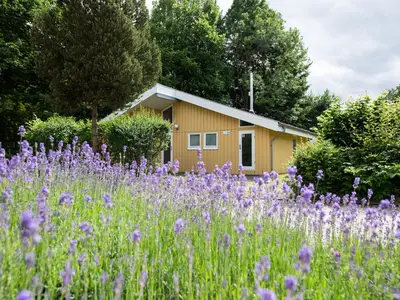 Ferienhaus für 4 Personen (77 m²) in Mirow 2/10