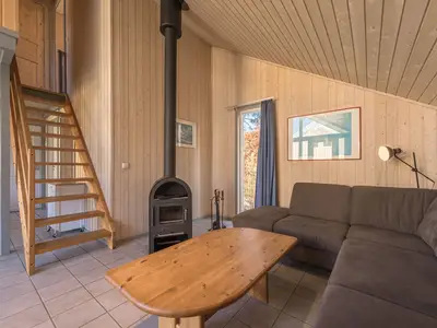 Kamin-/Ofen