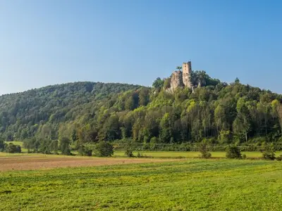 Ferienhaus für 7 Personen (66 m²) in Mistelgau 5/10