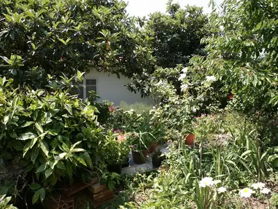 Ferienhaus für 4 Personen in Mlini 3/10