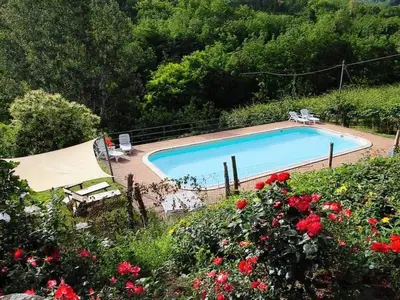 PoolOfHouse