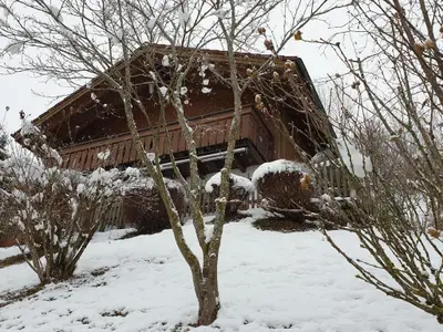 Traumfleck im Winterkleid