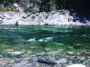 Maggia Fluss 20 Meter vom Haus entfernt