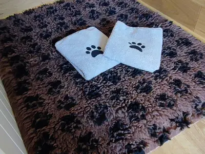 Ferienhaus für 4 Personen (42 m²) in Möhnesee 4/10