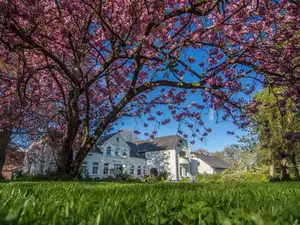 Ferienhaus für 6 Personen (100 m²) in Mohrkirch