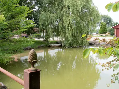 Ferienhaus für 5 Personen (100 m²) in Mohrkirch 10/10