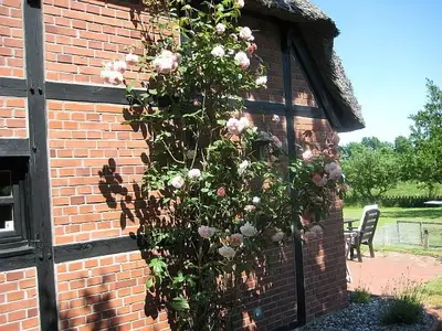 Ferienhaus für 4 Personen (70 m²) in Mohrkirch 4/10