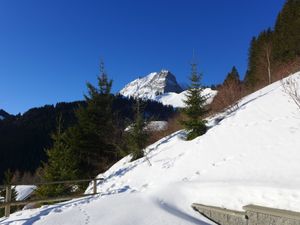 23842400-Ferienhaus-6-Moléson-sur-Gruyères-300x225-4