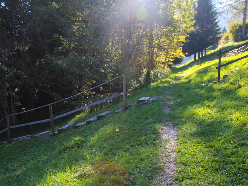 23857472-Ferienhaus-6-Moléson-sur-Gruyères-800x600-1