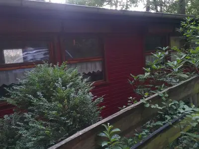 Ferienhaus für 3 Personen (40 m²) in Möllensdorf 2/10