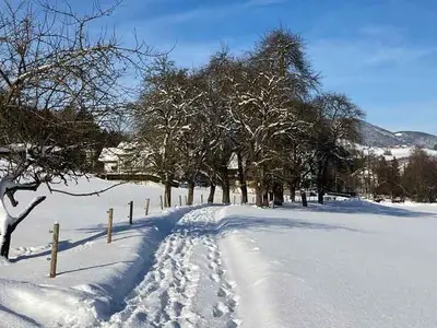 Ferienhaus für 4 Personen (98 m²) in Mondsee 3/10