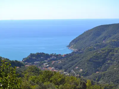 ViewSummer