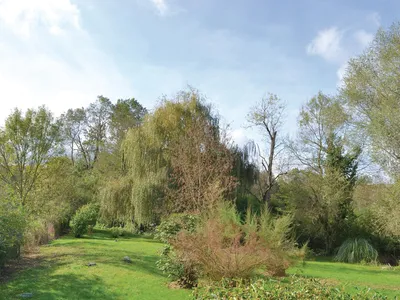 garden garden
