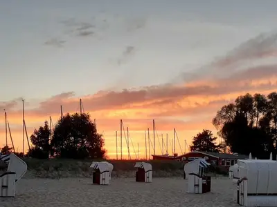Ferienhaus für 4 Personen (50 m²) in Mönkebude 3/10