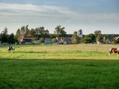 Ferienhaus für 4 Personen (82 m²) in Mönkebude 6/10