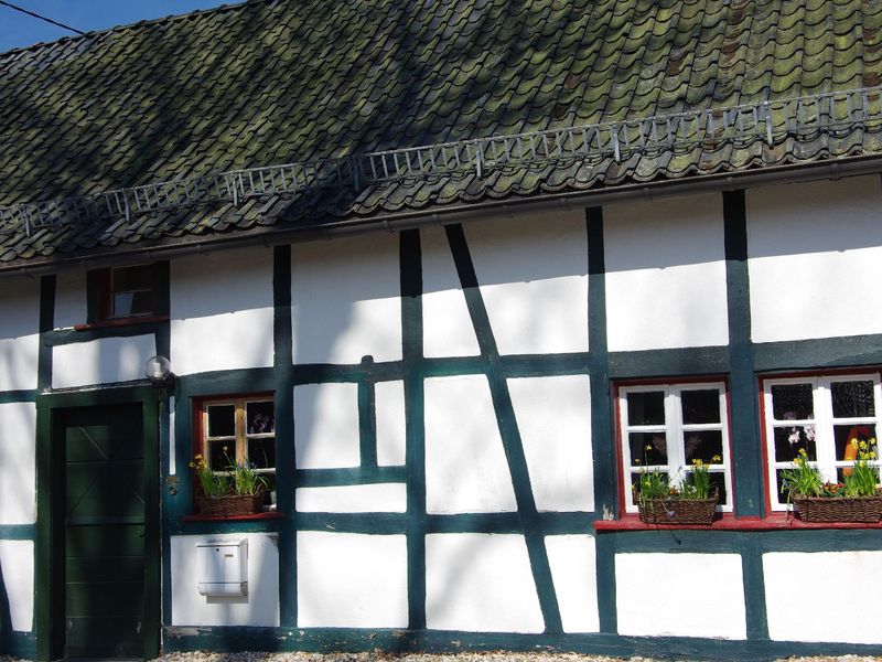 22469923-Ferienhaus-8-Monschau-800x600-0