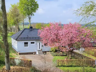 Ferienhaus für 4 Personen (70 m²) in Monschau 1/10