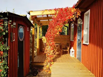 Bild 5