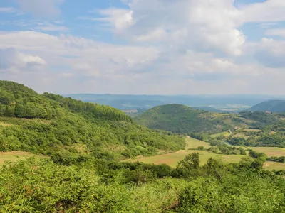 ViewSummer