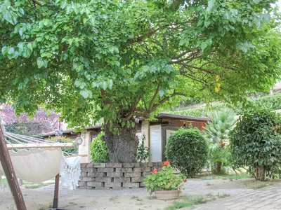 outside