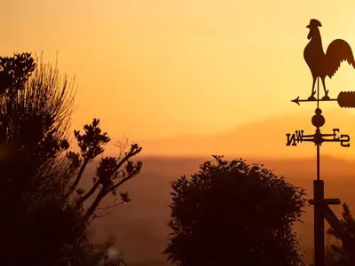 Ferienhaus für 11 Personen (500 m²) in Montelupo 10/10