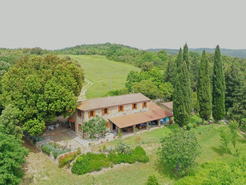 22244117-Ferienhaus-9-Monteverdi Marittimo-800x600-1