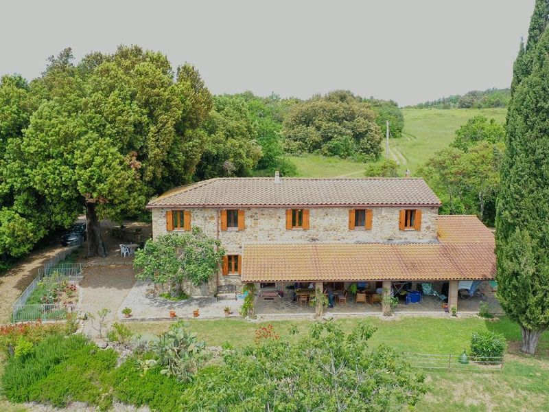 22244117-Ferienhaus-9-Monteverdi Marittimo-800x600-0