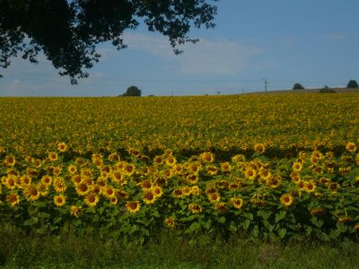 Gîtes de France à Montirat, Tarn, gîte rural n°G13