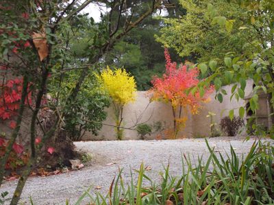 la cour en automne