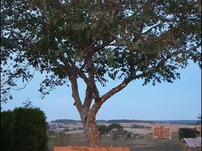 Sitzmöglichkeit am Baum