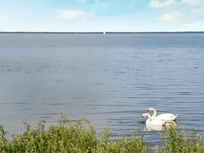 WaterView