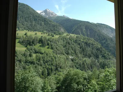 ViewSummer