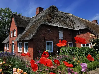 Ferienhaus für 4 Personen (90 m²) in Morsum (Sylt) 1/10