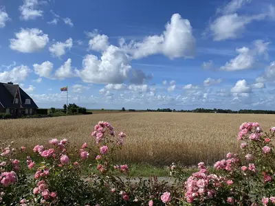 Gartenblick