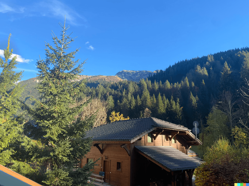 23952412-Ferienhaus-10-Morzine-800x600-1