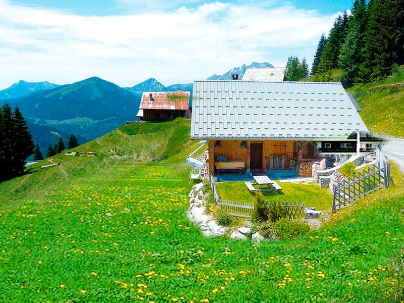 23948536-Ferienhaus-10-Morzine-800x600-1