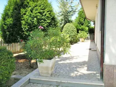 Bild 8 Bild 8