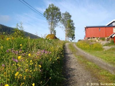 Ferienhaus für 3 Personen (30 m²) in Mosvik 8/10